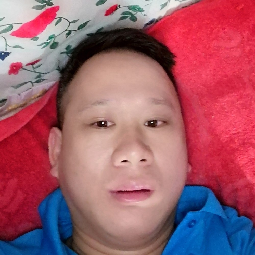 小猫咪勤劳的照片