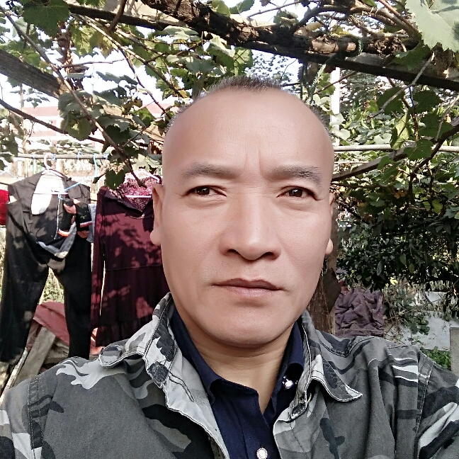 柔弱手机的照片
