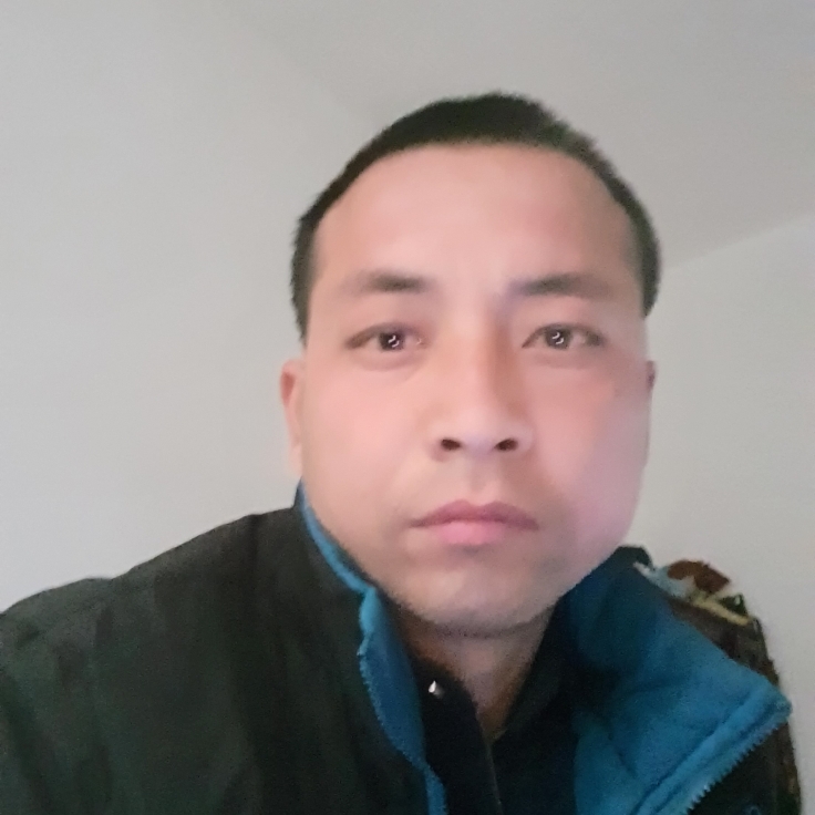 香氛活泼的照片