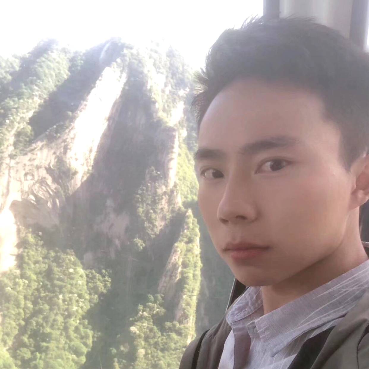优美爱恋森槿的照片