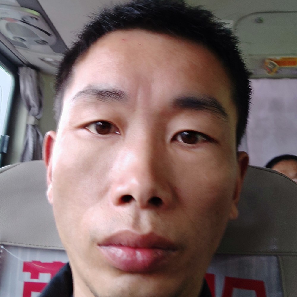 午狼的照片