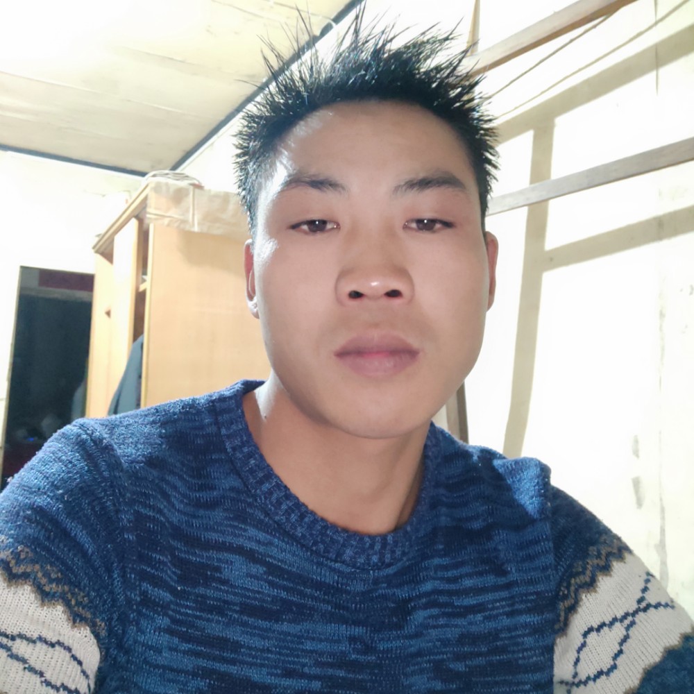 我取名叫十二的照片