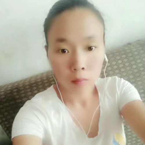 迷途，，的照片