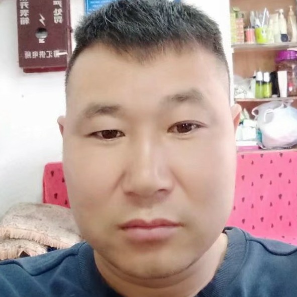 小麻雀飞的照片
