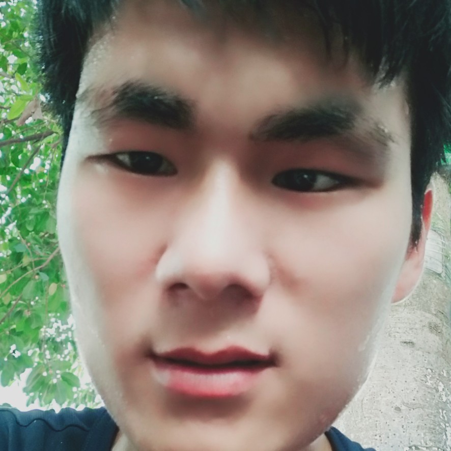狗东西。的照片