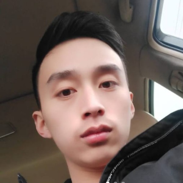 火星上笑乌龟的照片