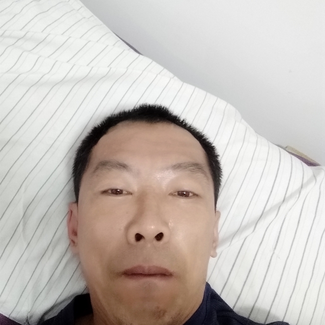 开朗吃醋含羞草的照片