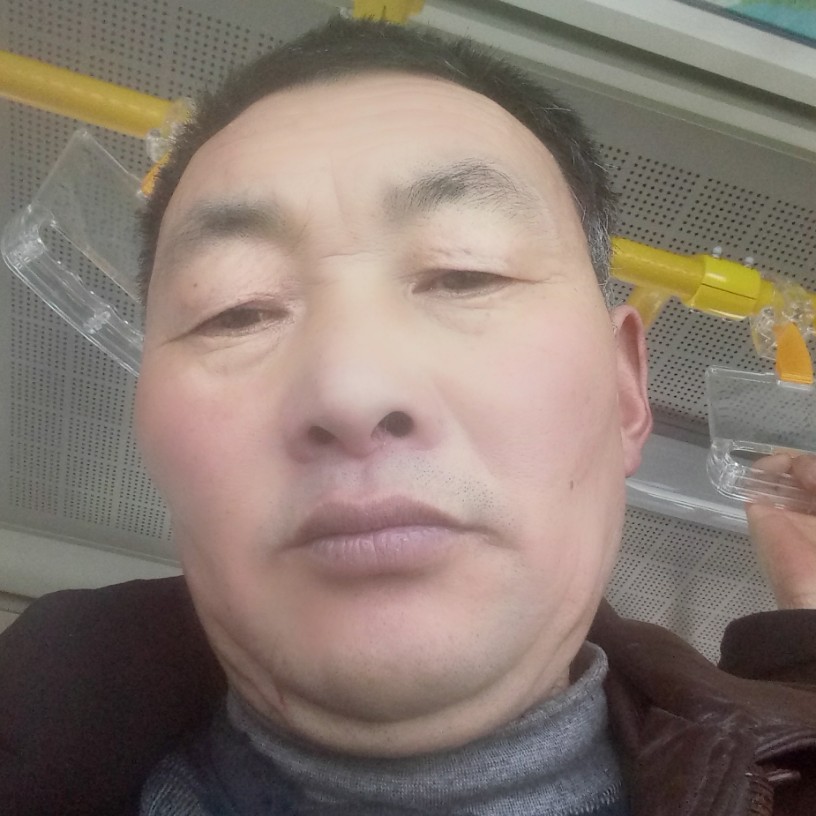 坚强爱恋荷花的照片