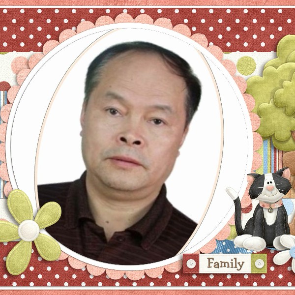 闲云益鹤的照片