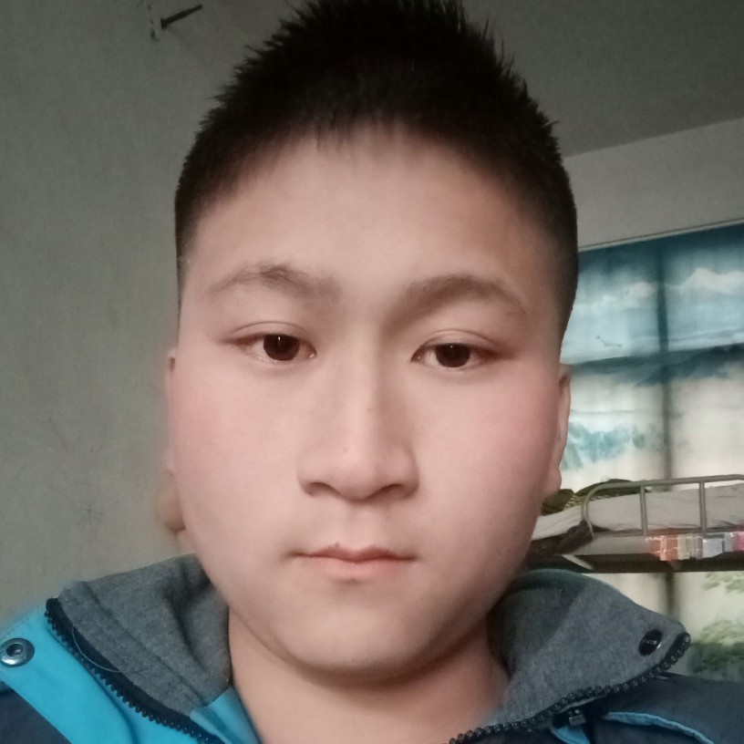 合适小蜜蜂的照片