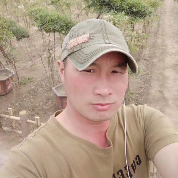 ，海东青的照片