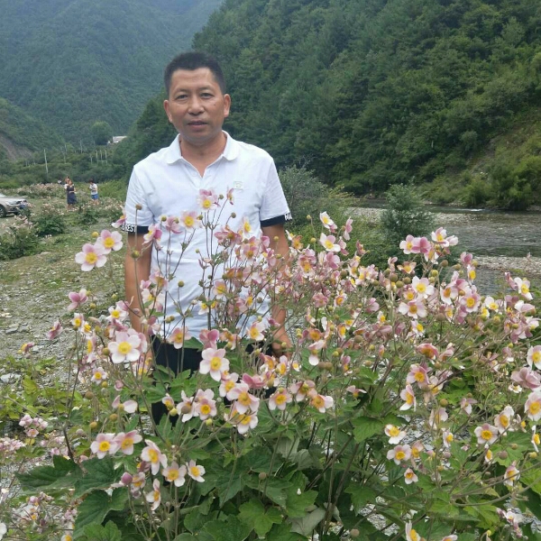 ， 执着的照片