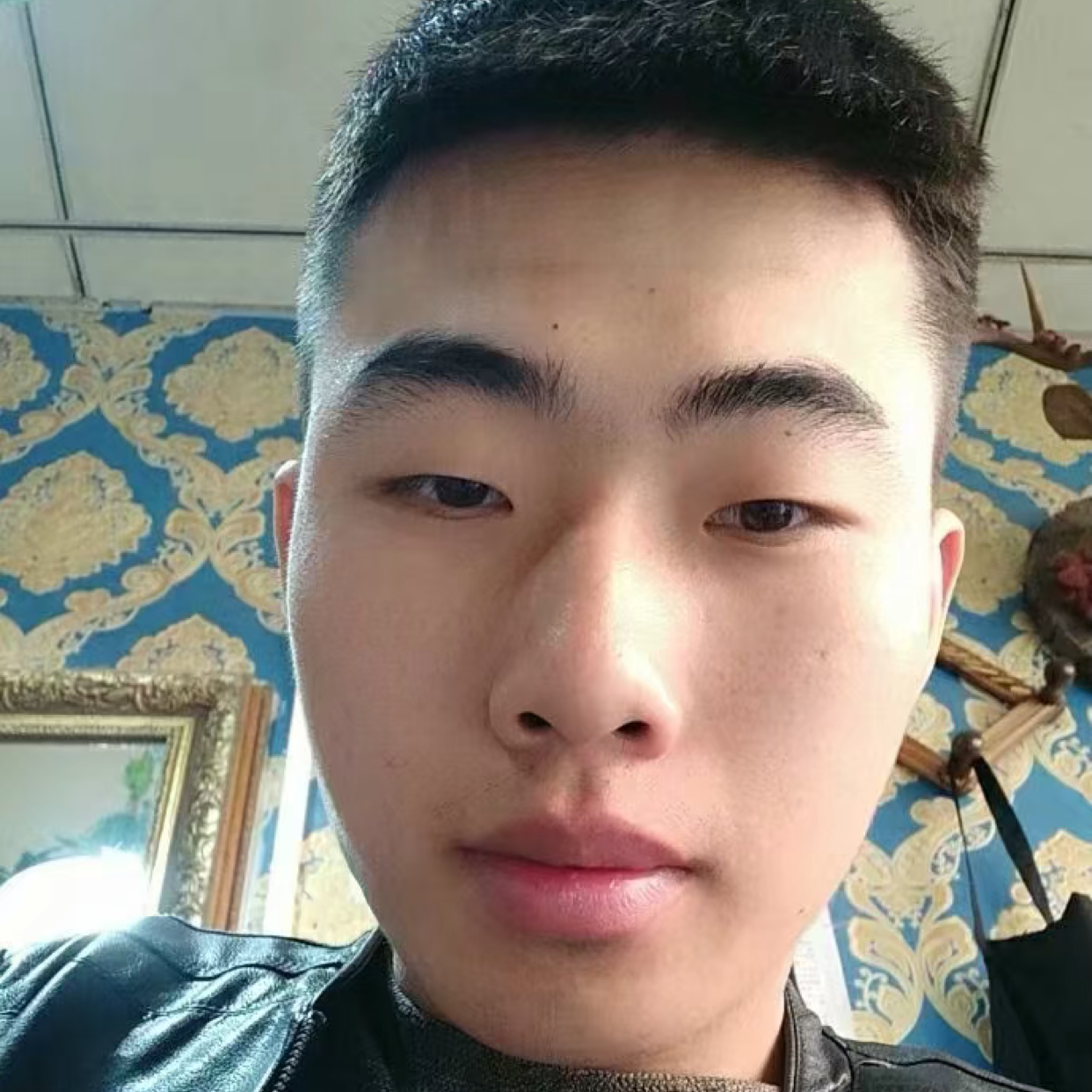 星月漫步雪白的照片