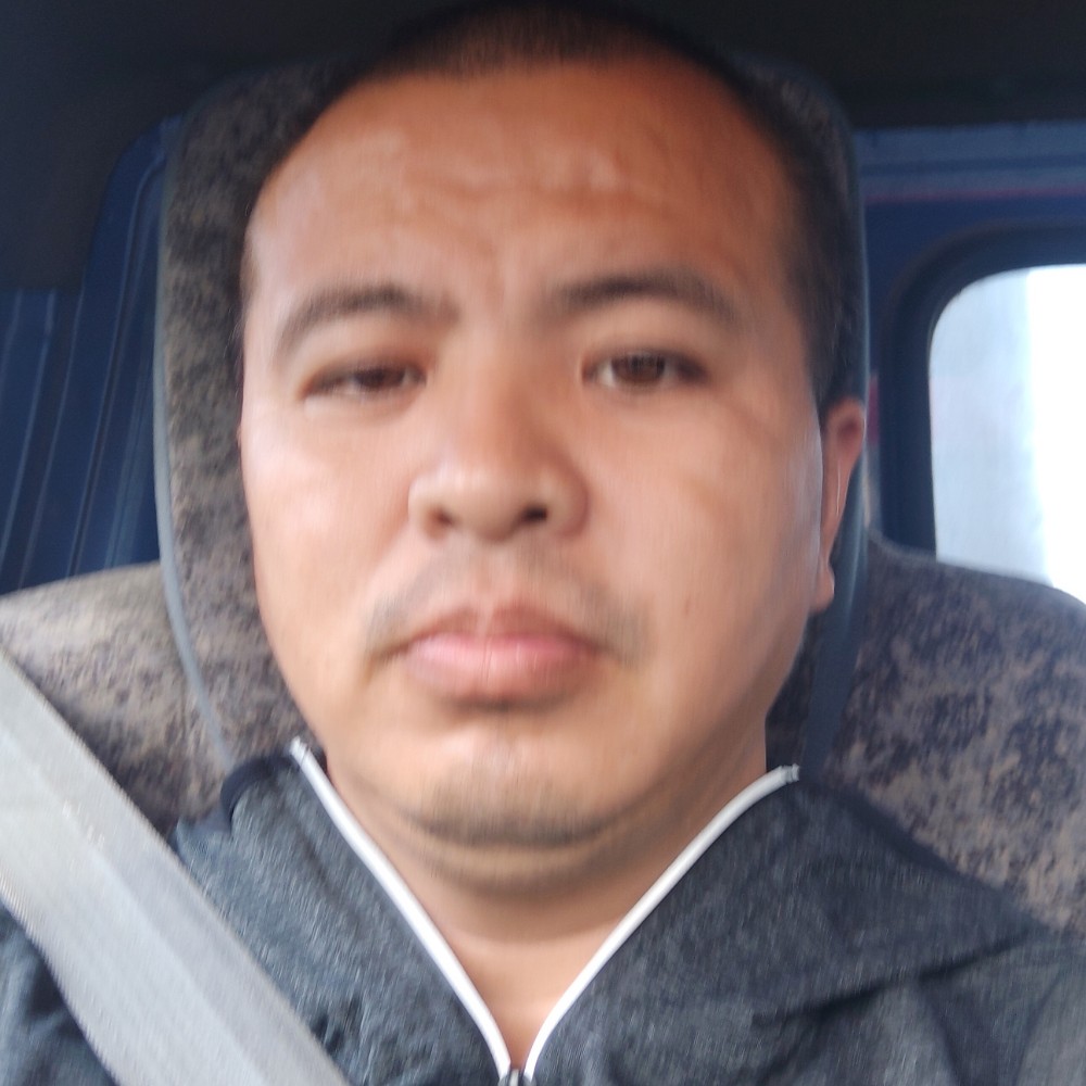 犀牛等于兴奋的照片