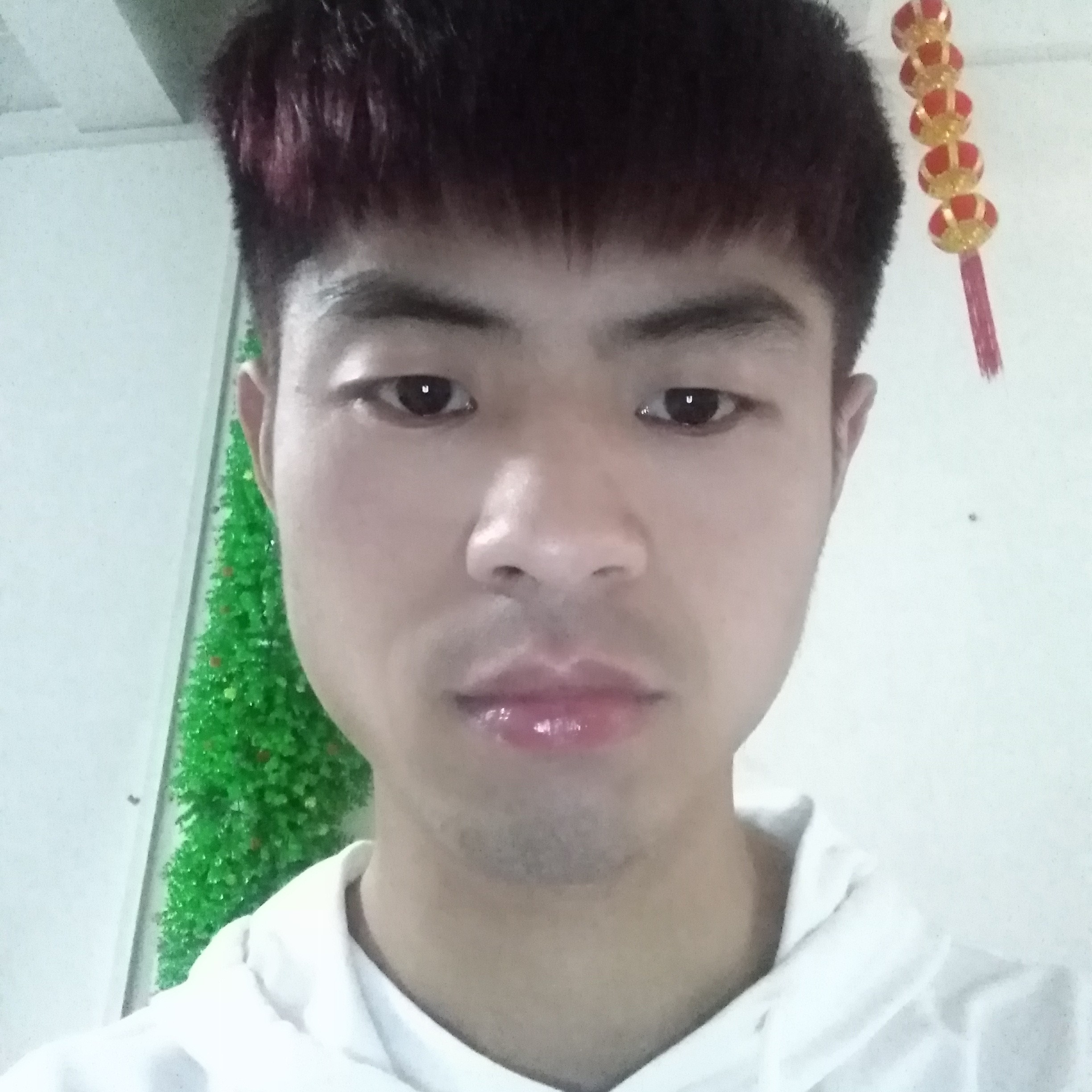 微笑那矮小的照片