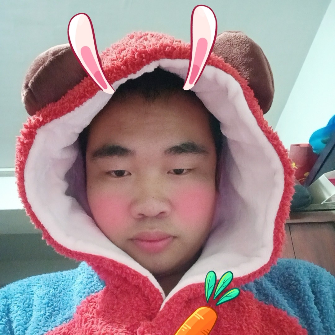 怕孤单的狗的照片