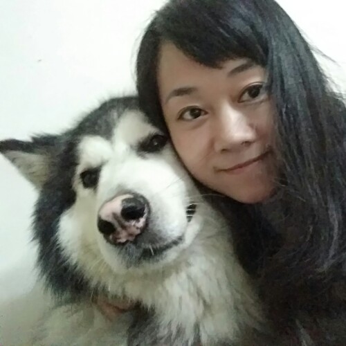 情至何处的照片