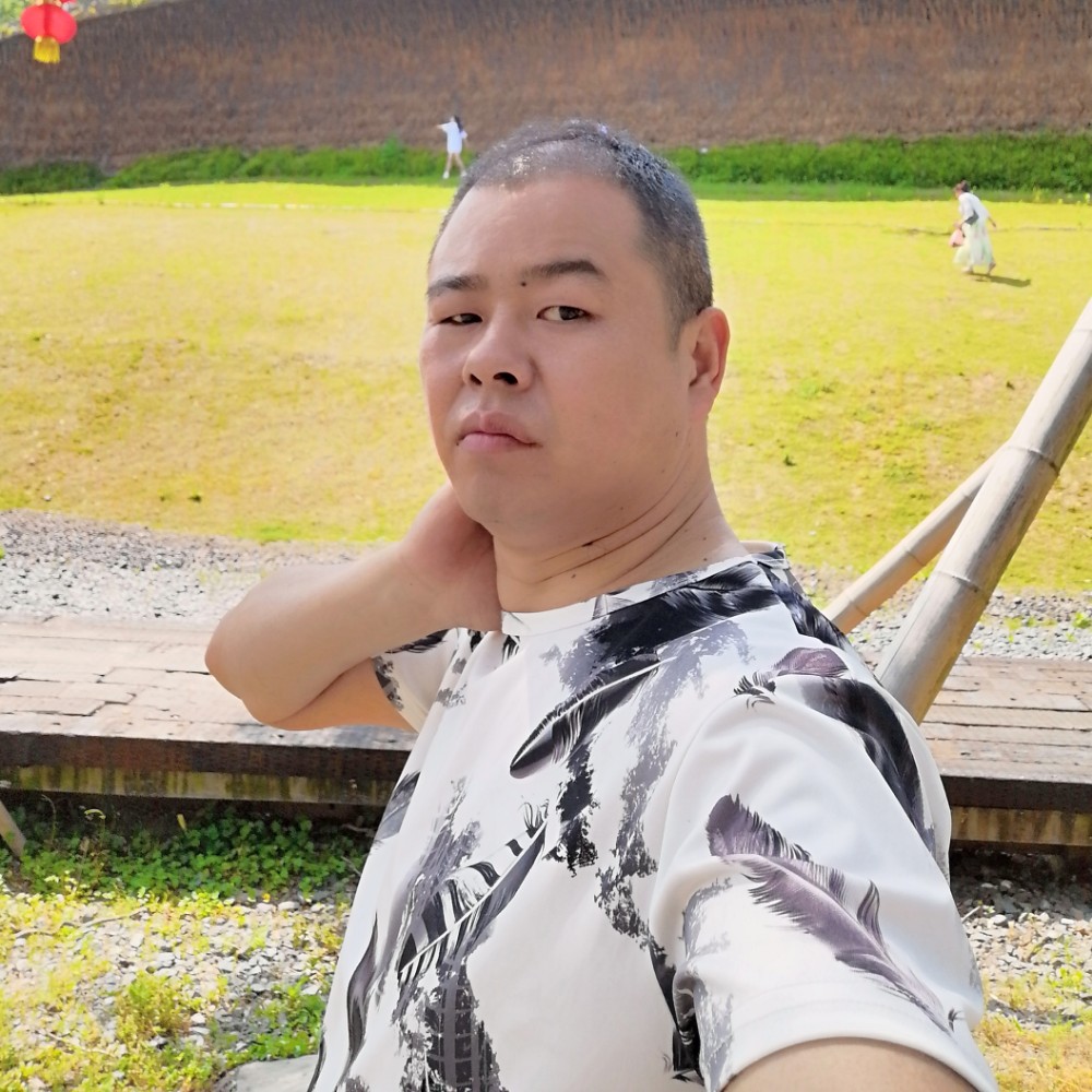 冬天一枝梅的照片