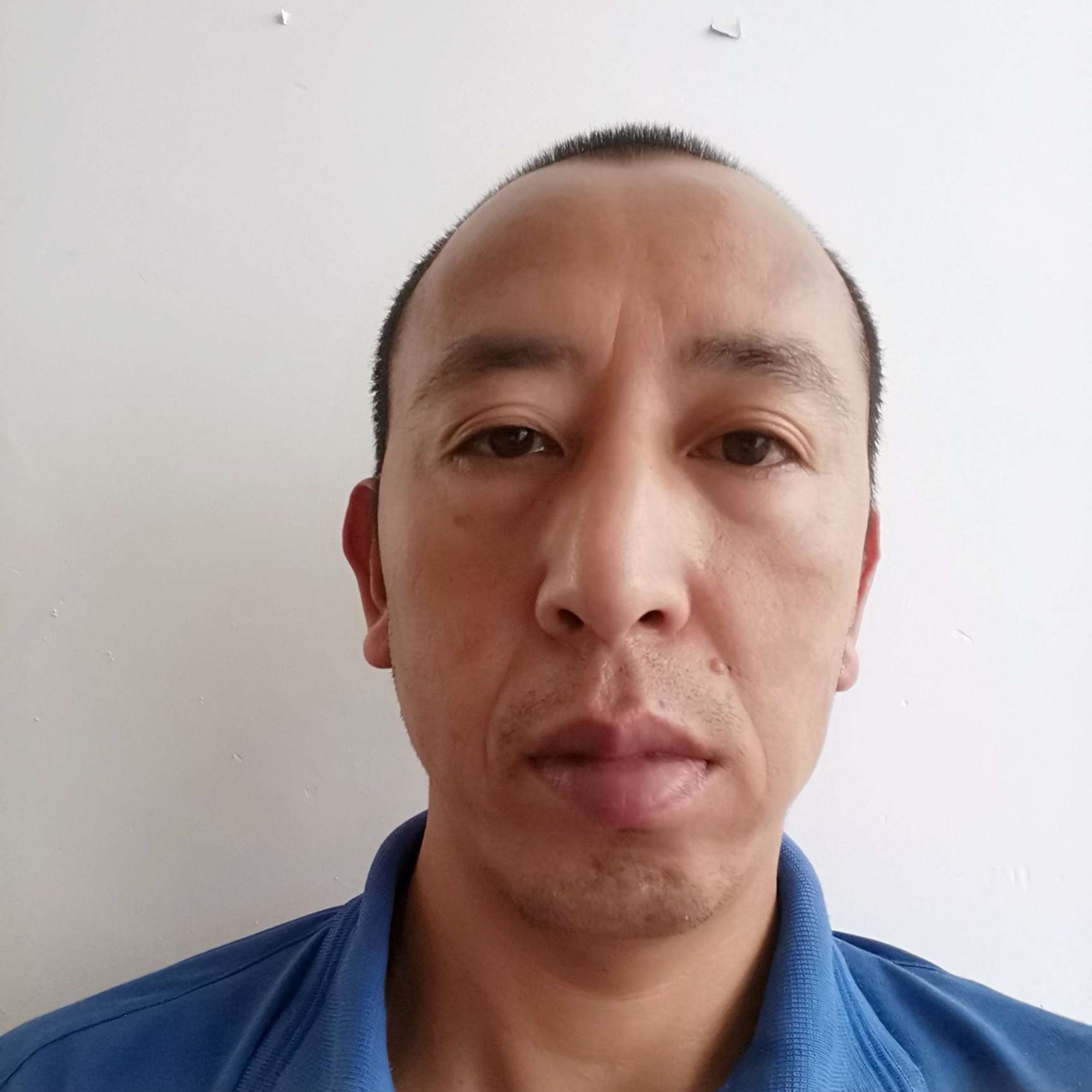 落漠的从容的照片