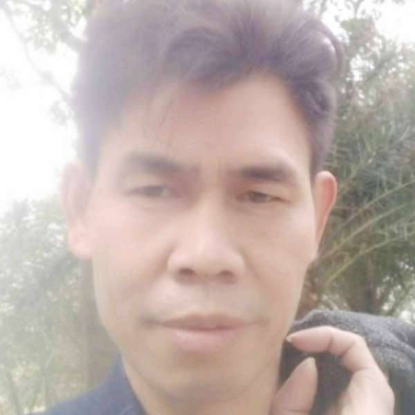 泽达的照片