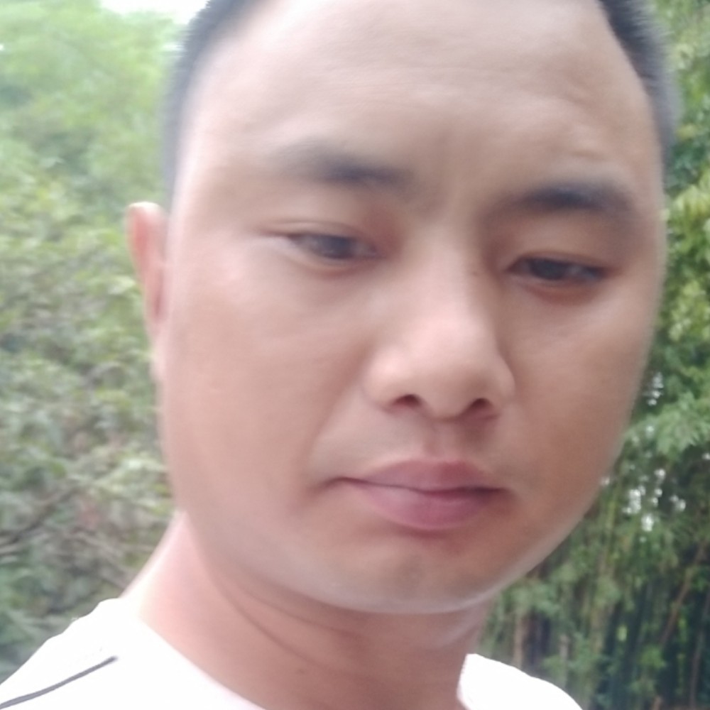 ZA    L的照片