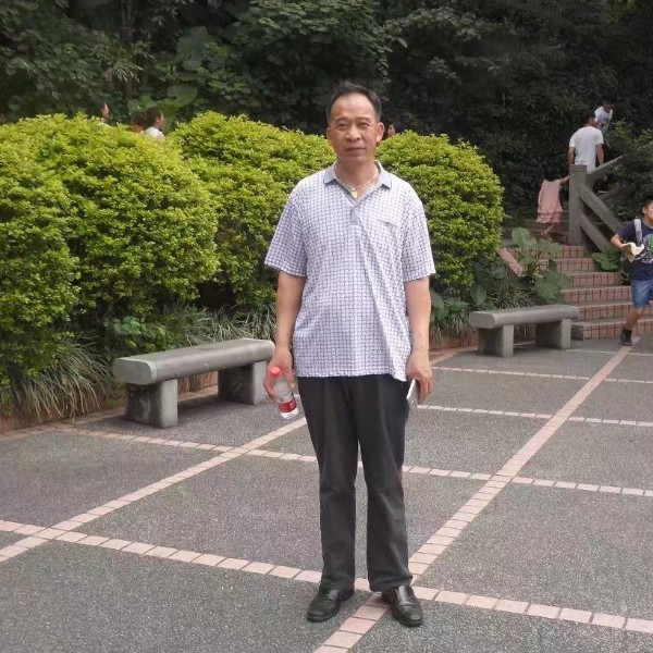 光亮回眸紫菜的照片