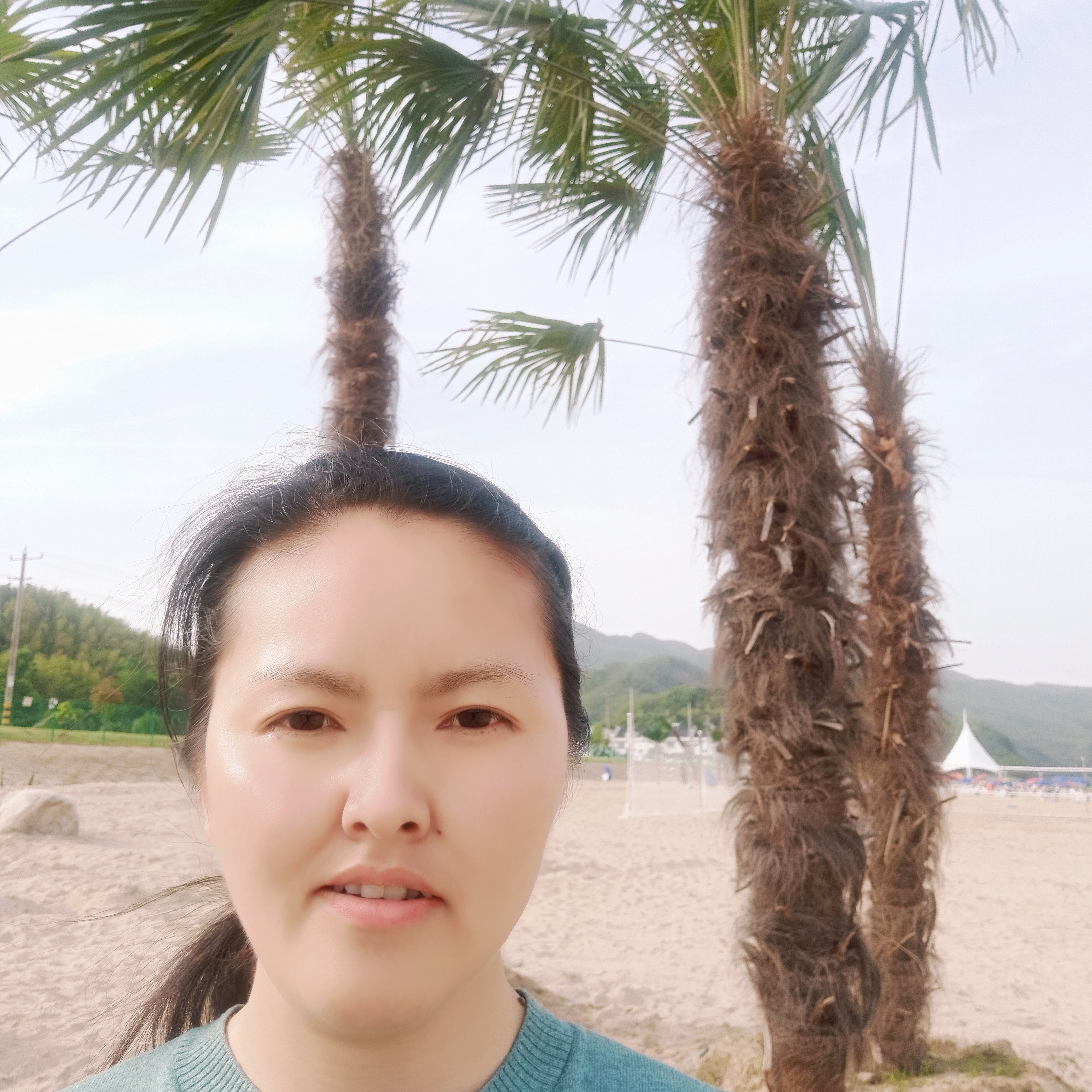 龙猫繁荣的照片