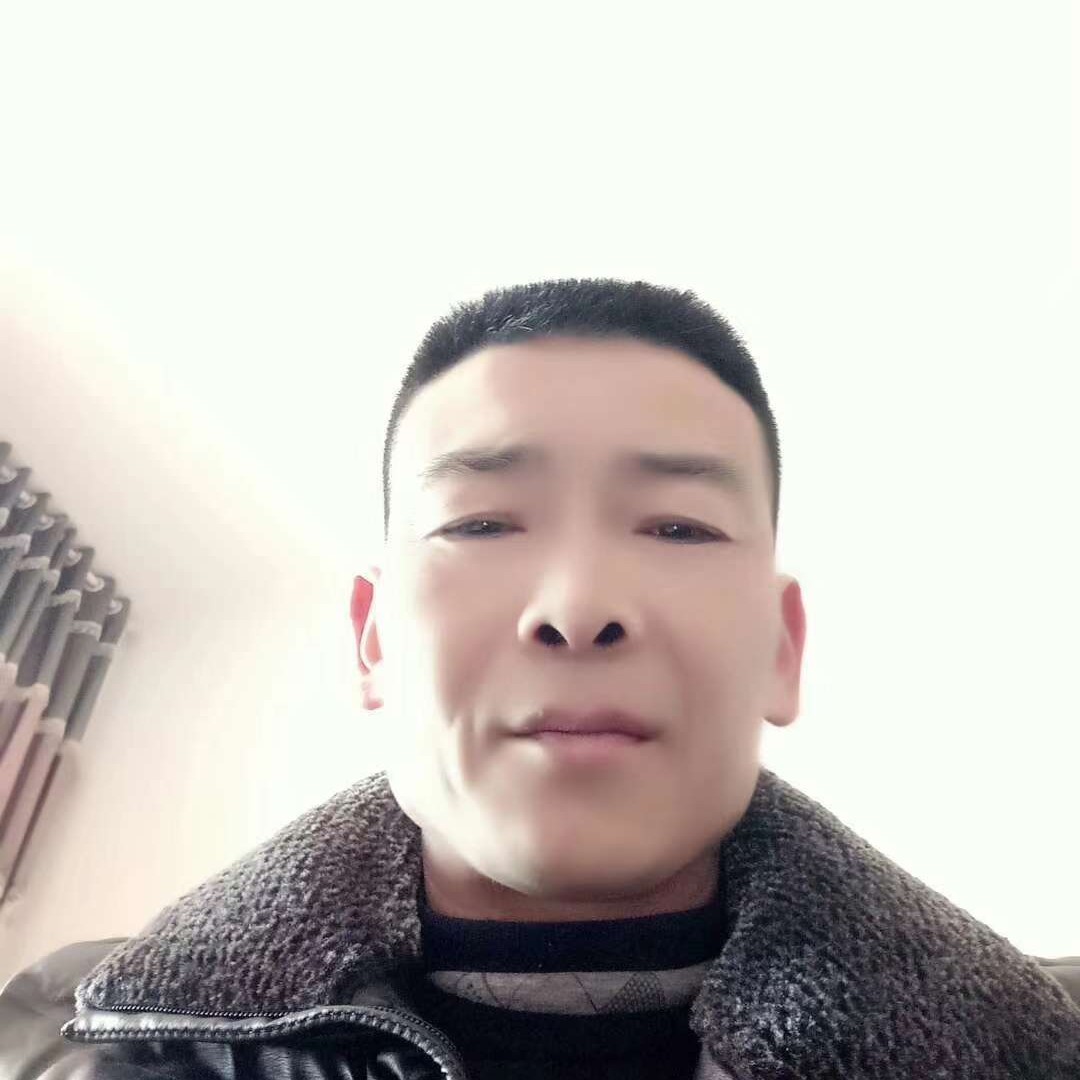 太阳回眸友好的照片