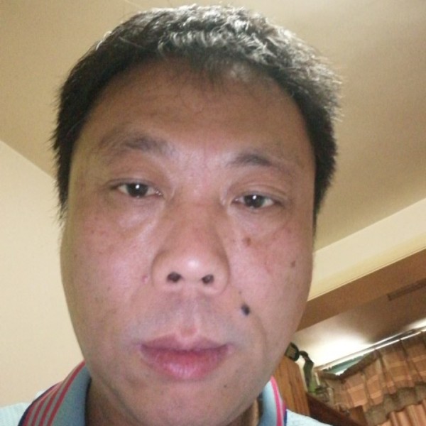 小巧浅吻康乃馨的照片