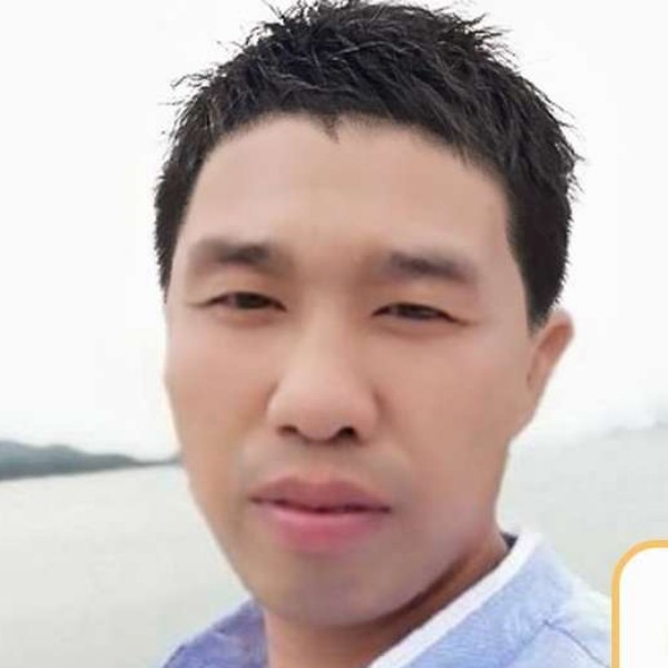 蚂蚁英俊的照片