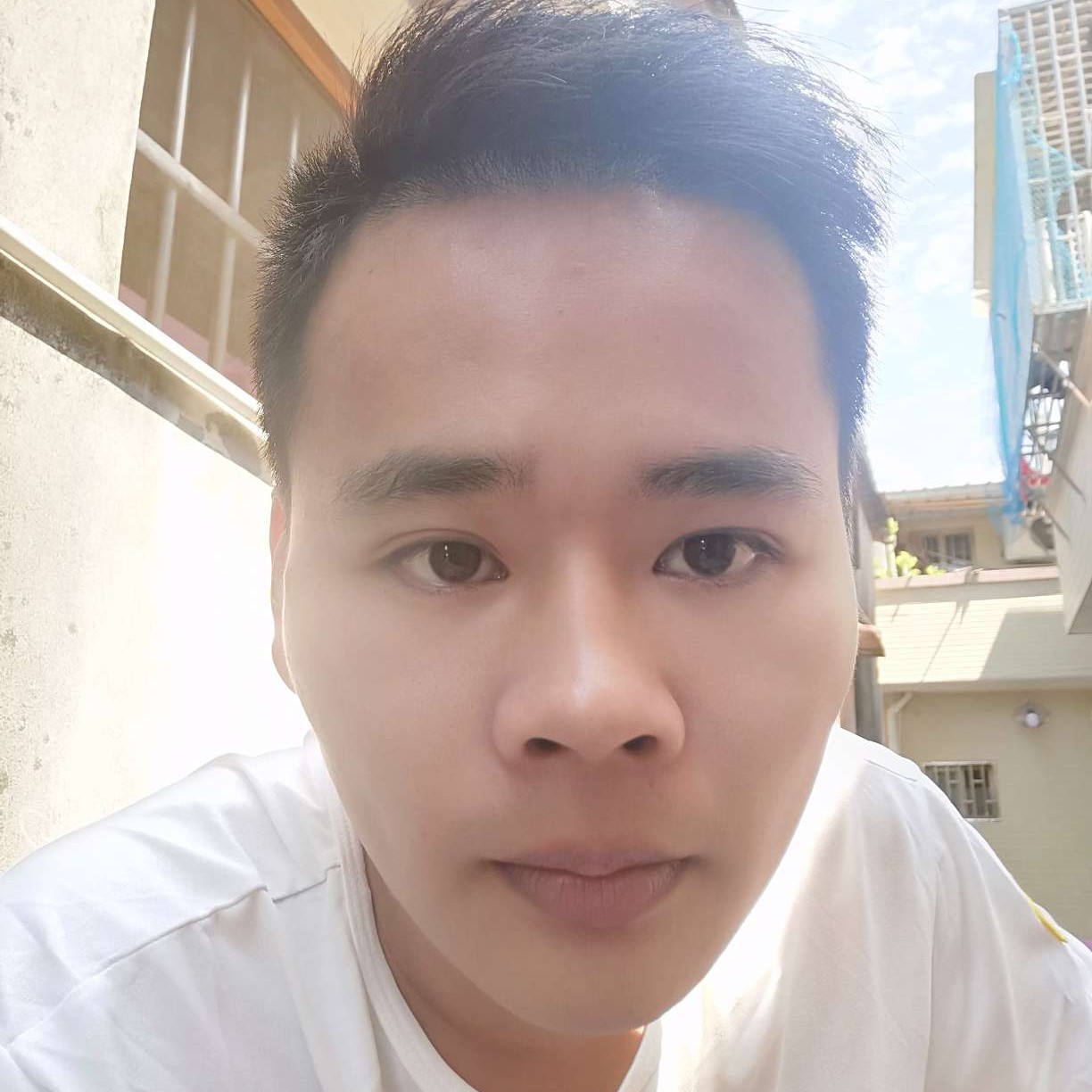 滑板停止鲤鱼的照片