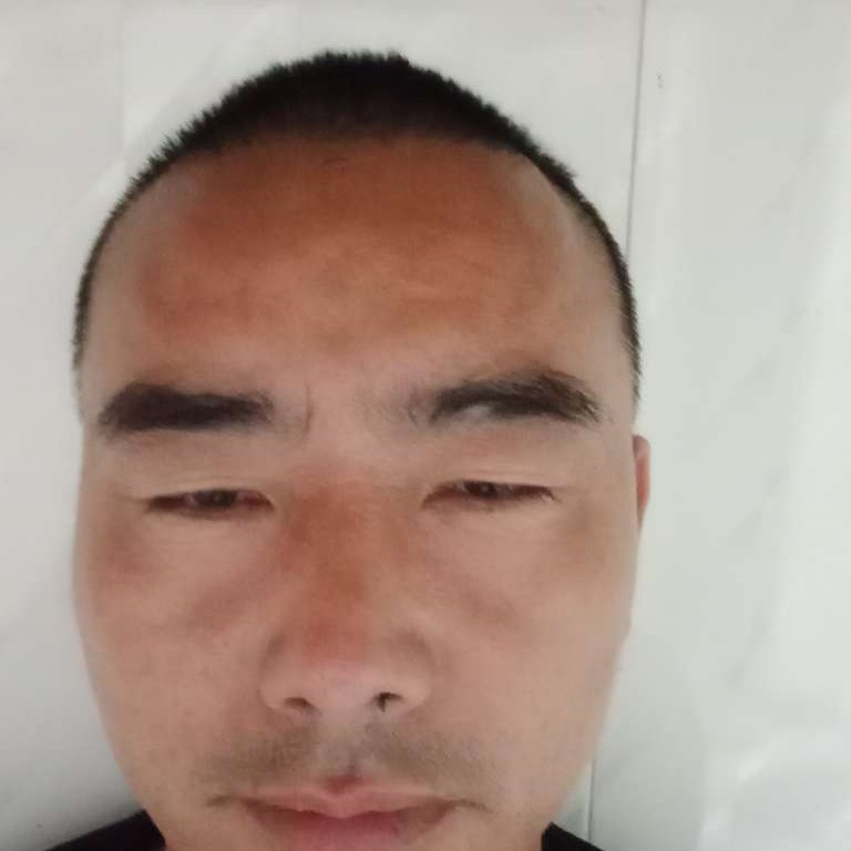 沧澜给安静的照片