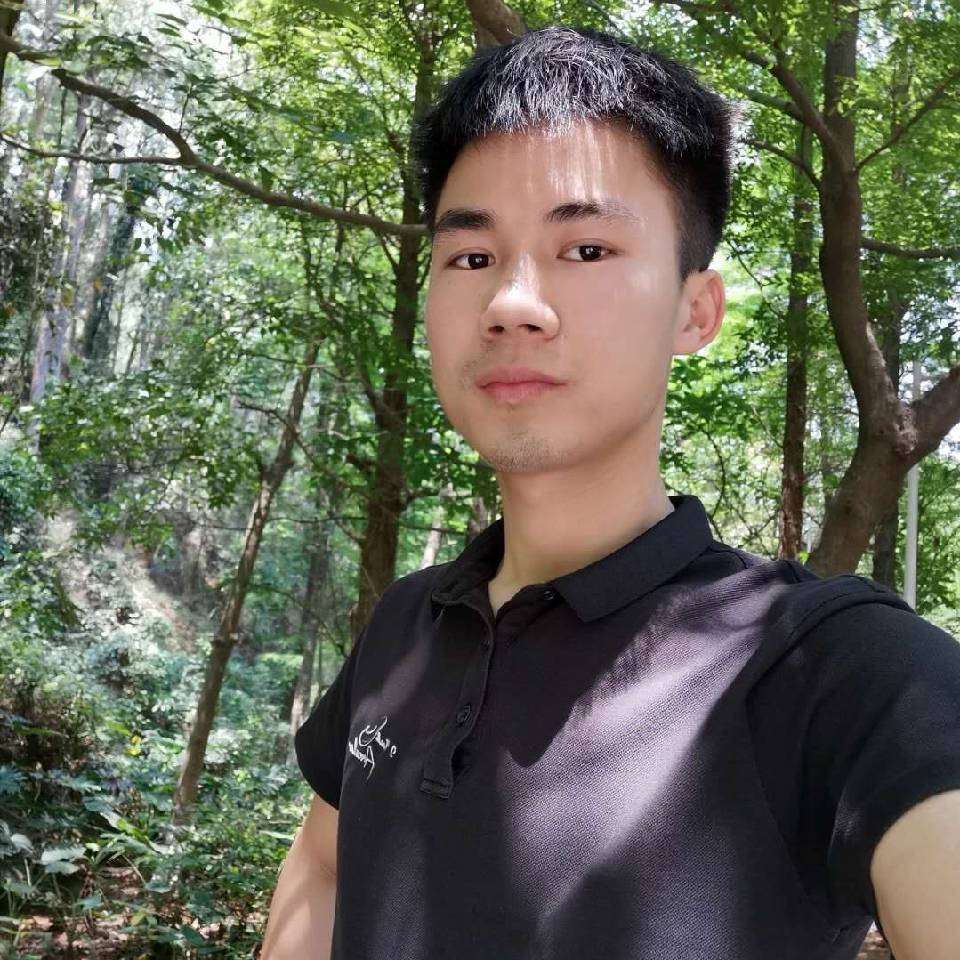 火星上那枫叶的照片