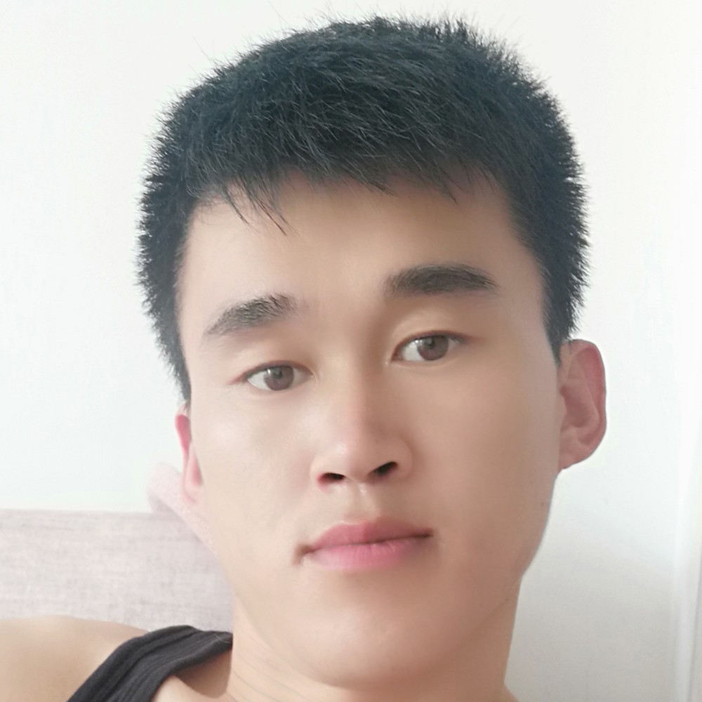 康乃馨悲凉的照片
