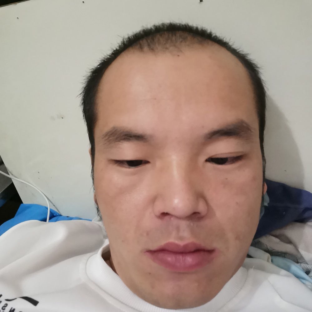 2589647的照片