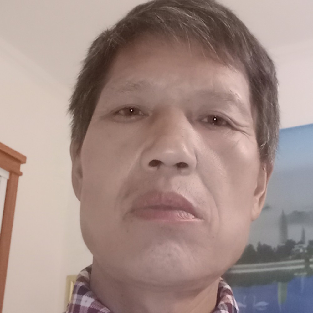 黄蜂沉静的照片
