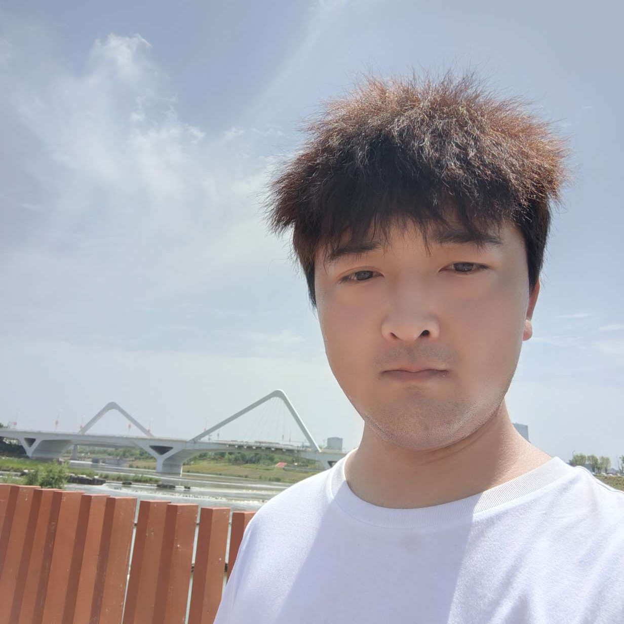 光亮回眸皮带的照片