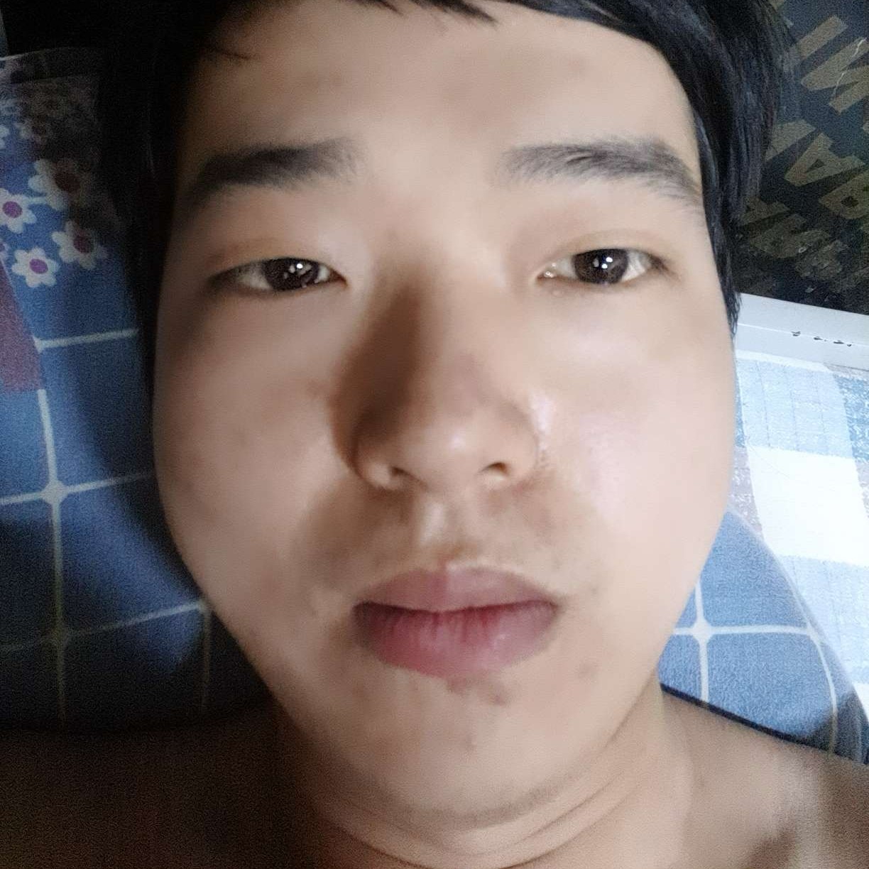 一树°的照片