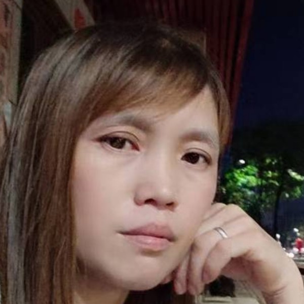 铅笔自然的照片