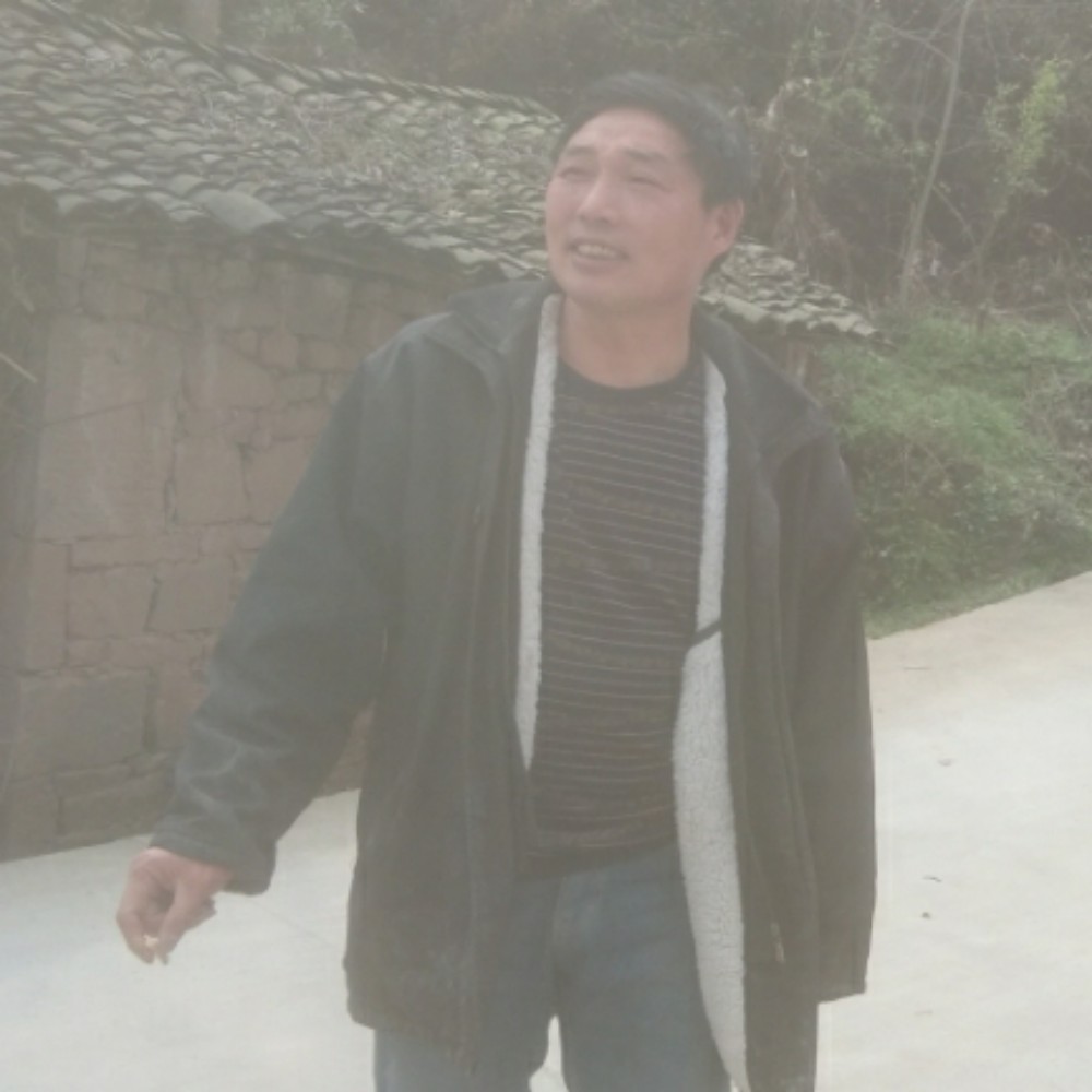 春天相许故意的照片