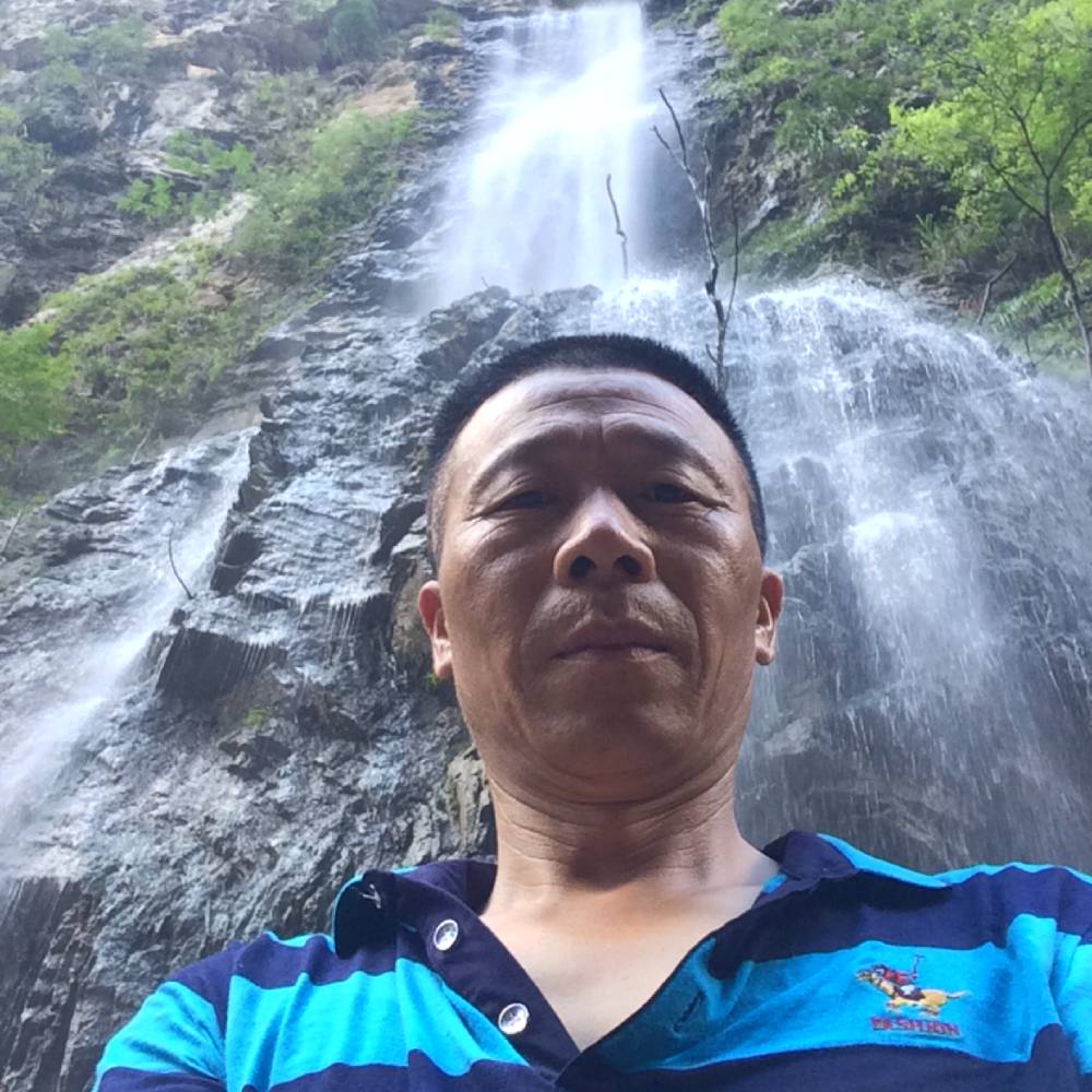 鲜花拾忆怡然的照片