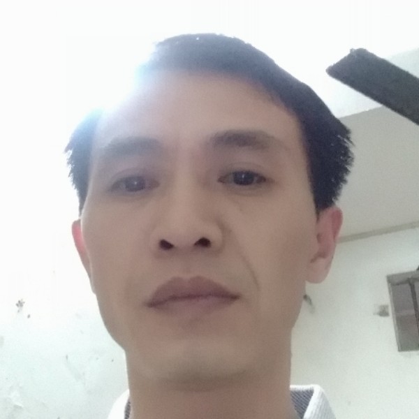 绵密大树的照片