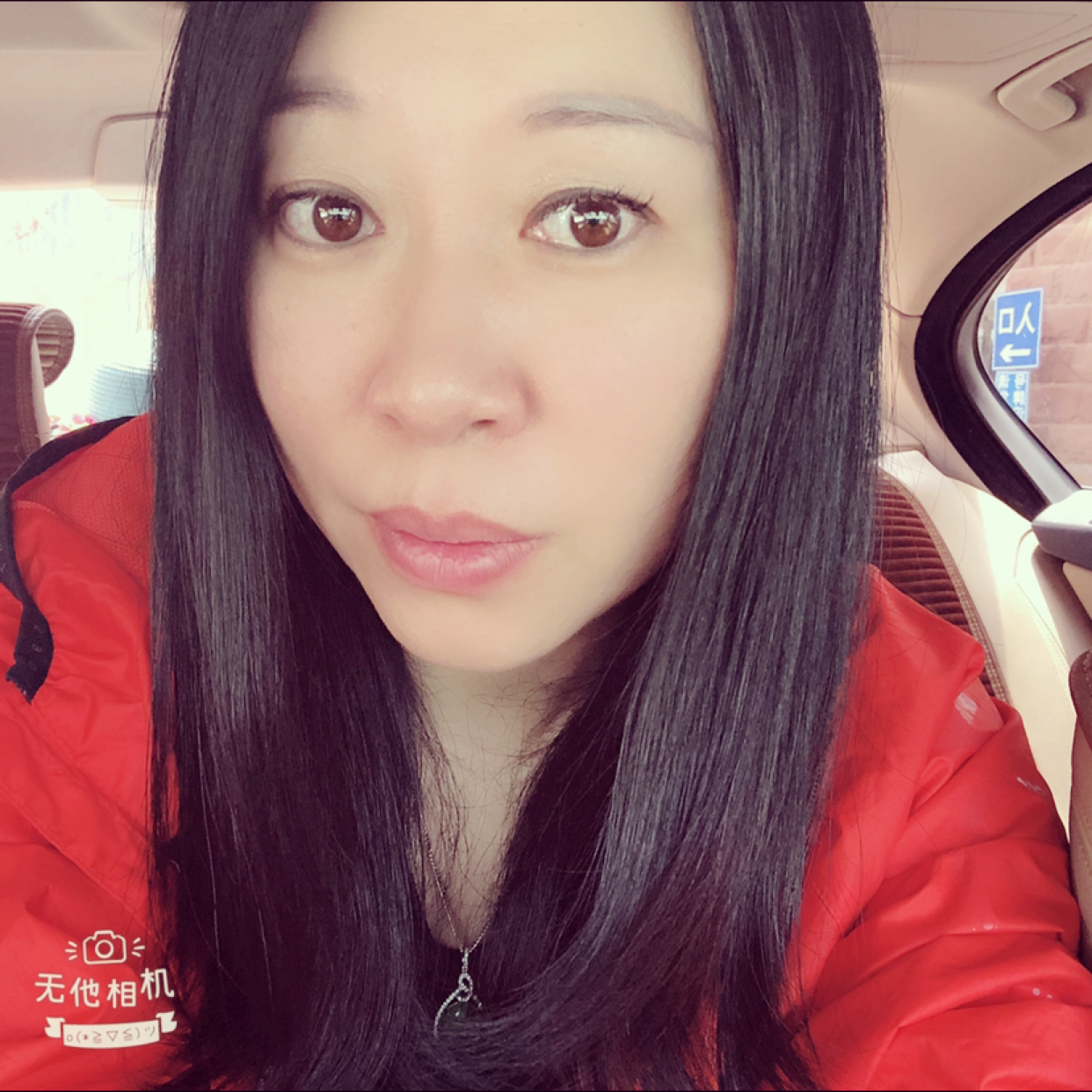 刺猬倾心潇洒的照片