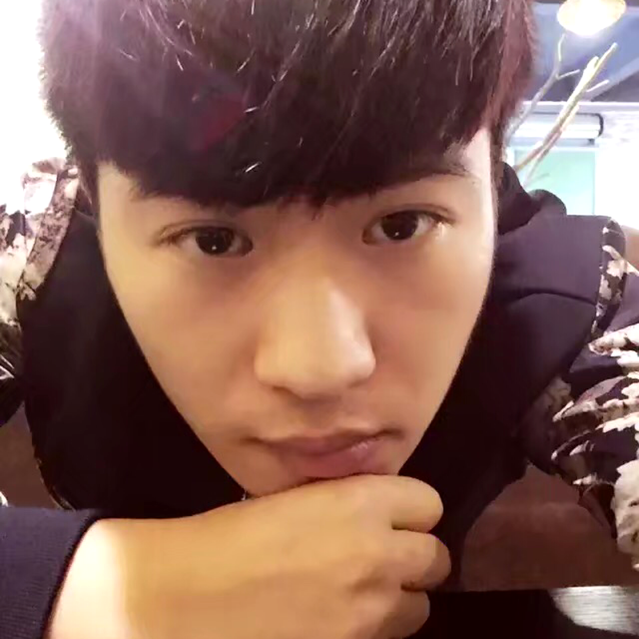 会撒娇蹁跹梦影的照片