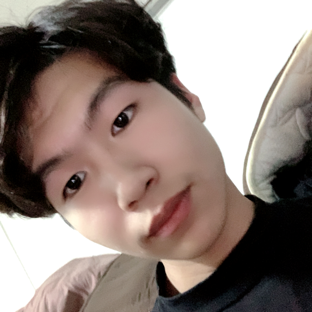 长情就纸鹤的照片