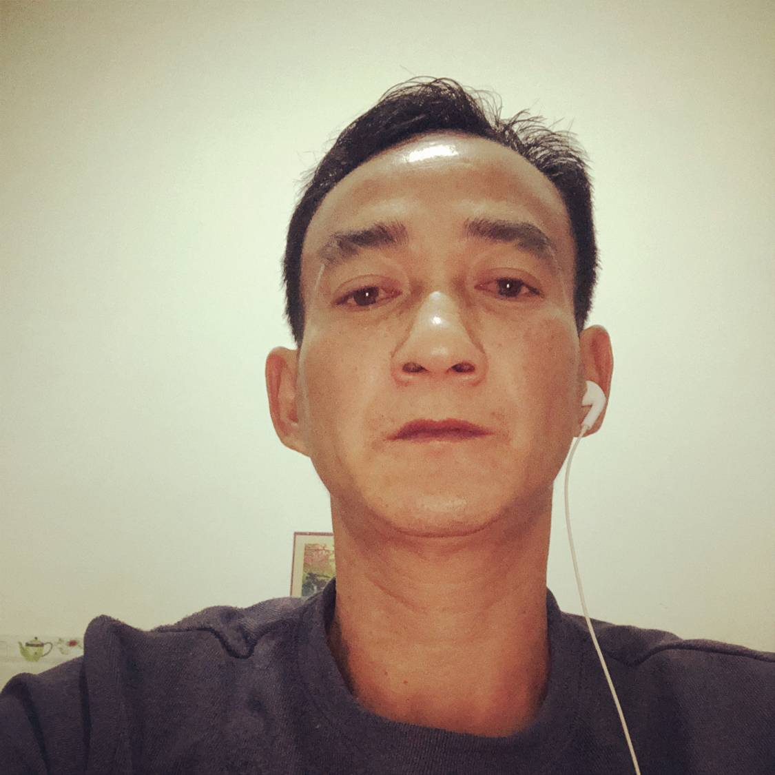 沉静那玫瑰的照片