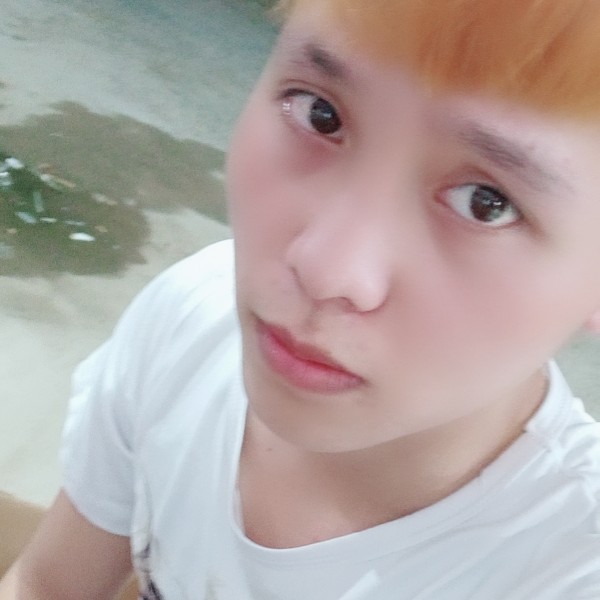 anh hà的照片