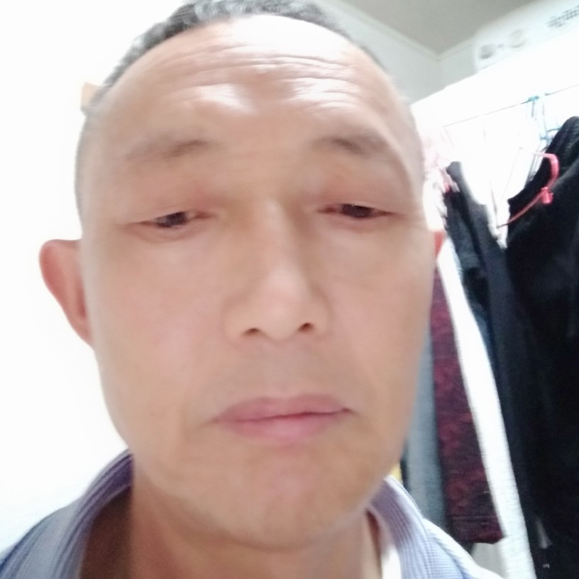 耍酷凝眸蜜蜂的照片