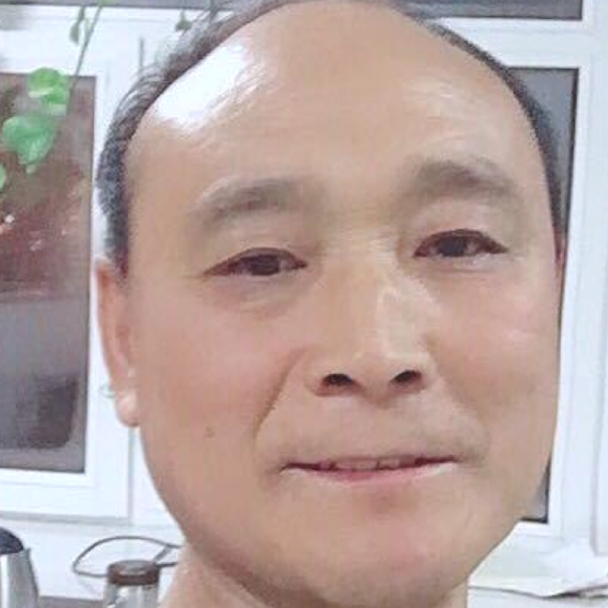 石头机智的照片