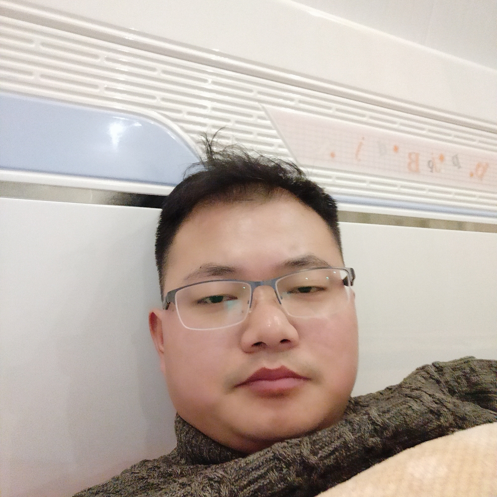 光亮海燕的照片